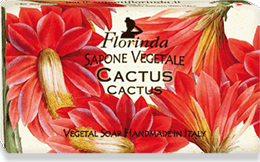 Florinda Soap