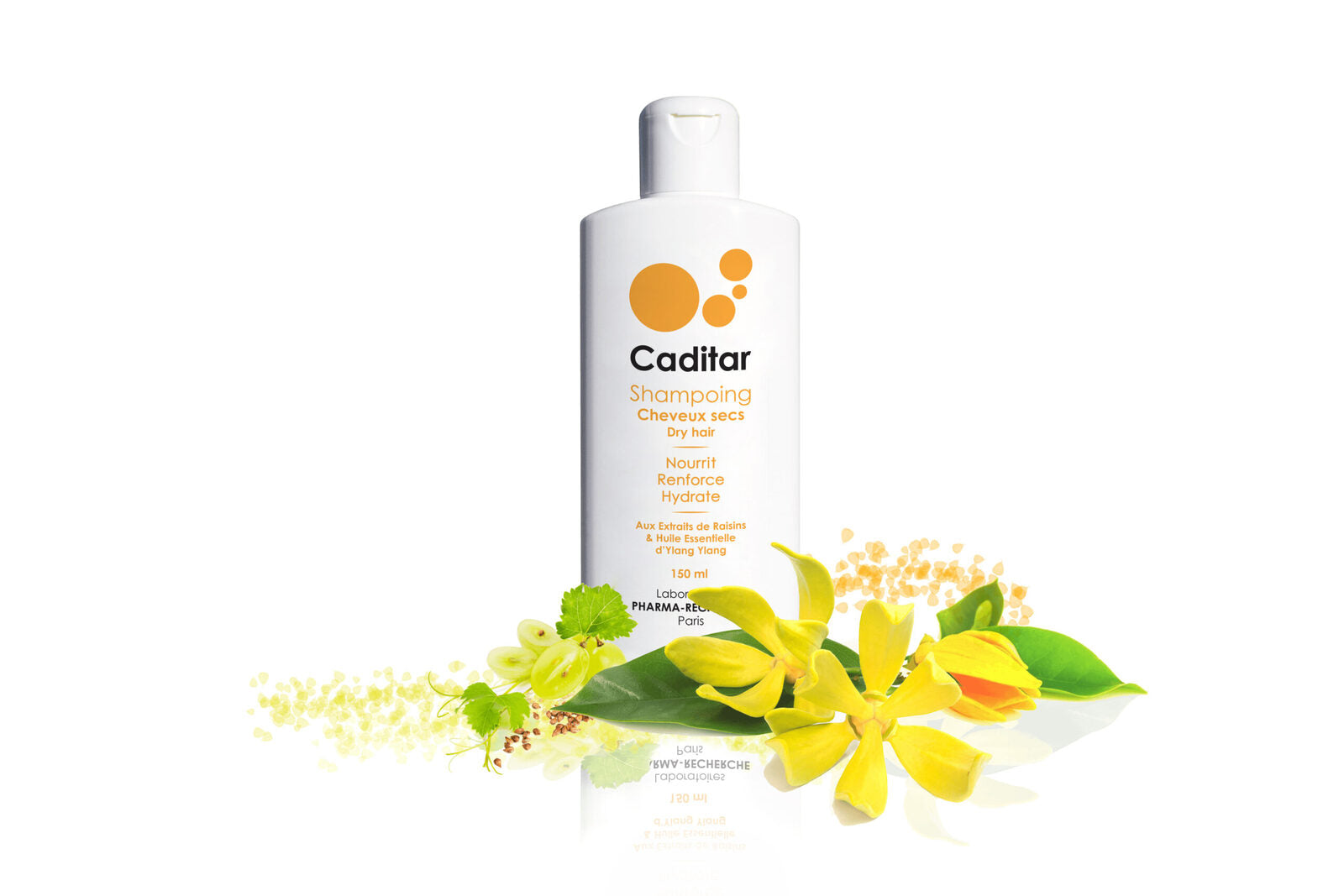 Caditar_Cheveux secs_Fond blanc