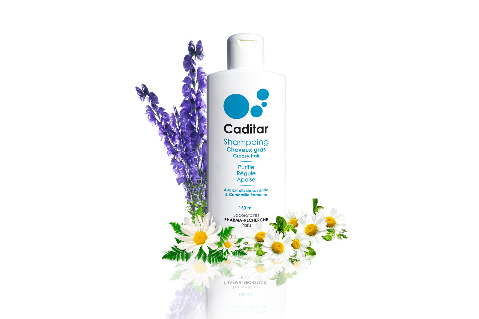 Caditar_Cheveux gras_Fond blanc