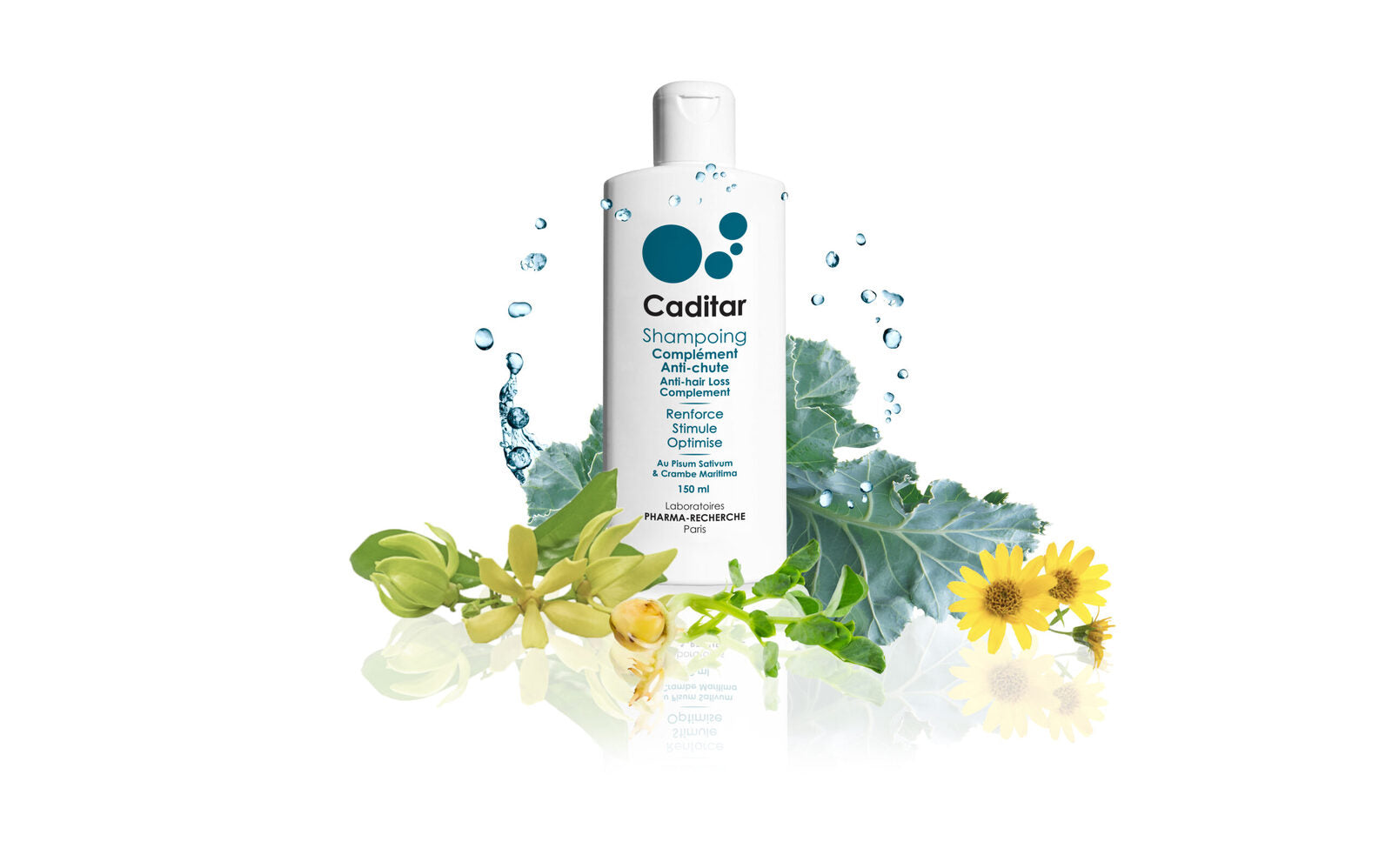 Caditar_Shamp Anti-chute+Ingredients_Fond blanc_3